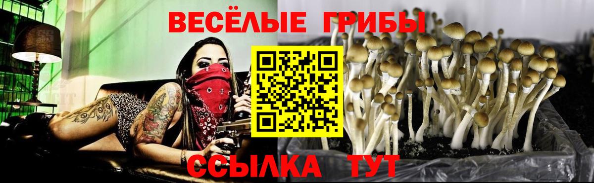 Псилоцибиновые грибы ЛСД  Вход с VPN  Галлюциногенные грибы Psilocybine cubensis  Нижний Новгород 