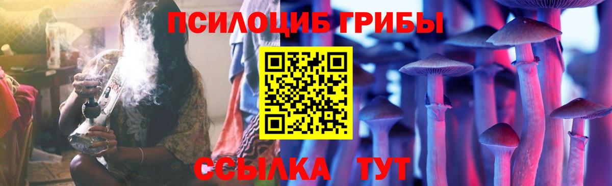 Псилоцибиновые грибы мицелий Нижний Новгород